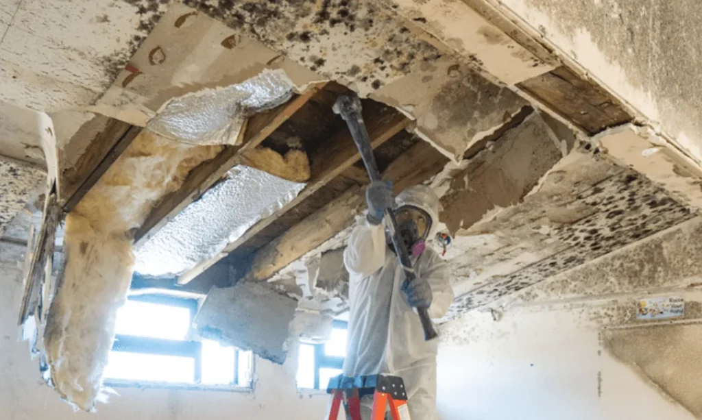 Structural Element Removal